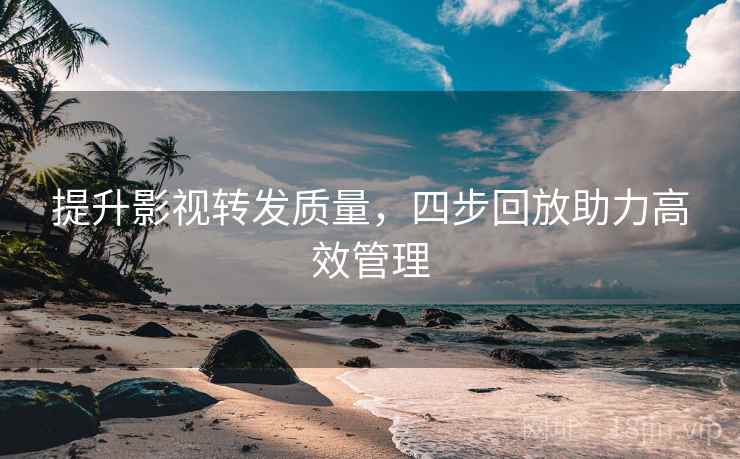 提升影视转发质量,四步回放助力高效管理 提升影视转发质量,四步回放助力高效管理