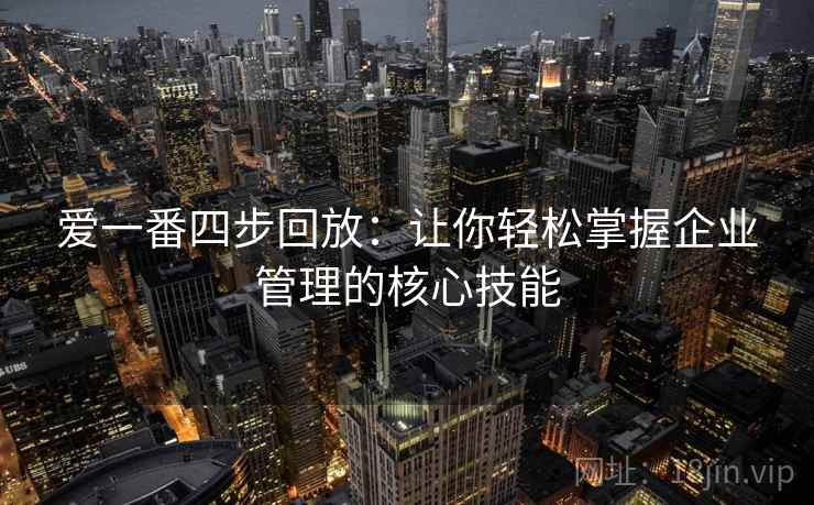 爱一番四步回放:让你轻松掌握企业管理的核心技能 爱一番四步回放:让你轻松掌握企业管理的核心技能