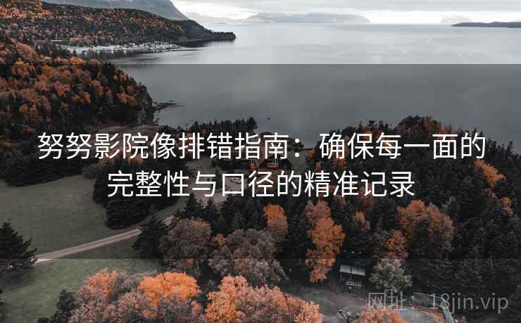 努努影院像排错指南：确保每一面的完整性与口径的精准记录