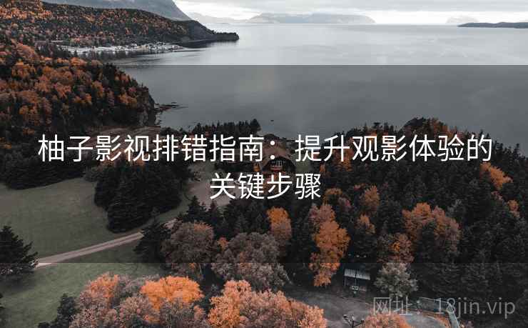 柚子影视排错指南:提升观影体验的关键步骤 柚子影视排错指南:提升观影体验的关键步骤